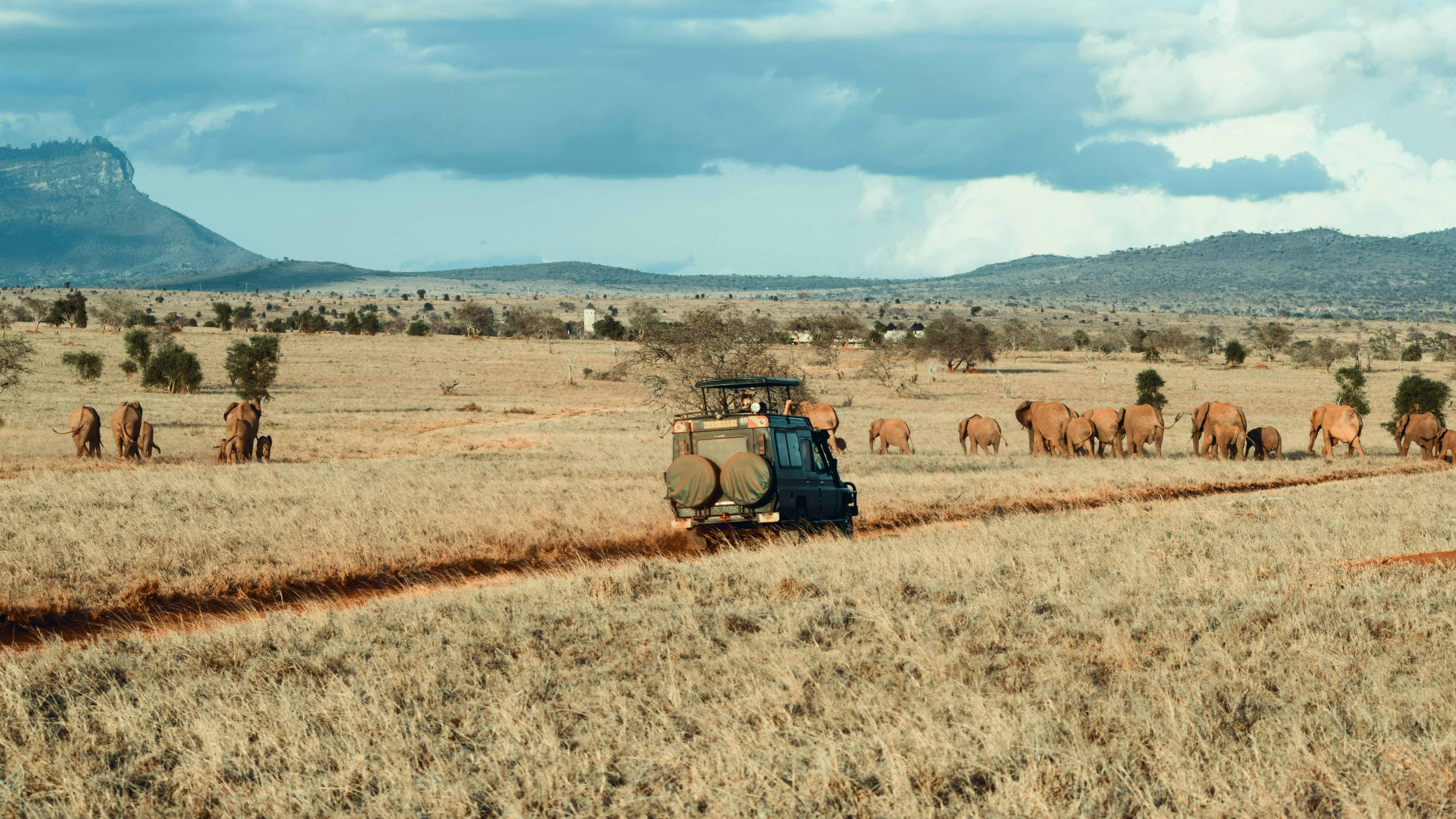 Tracking with ranger