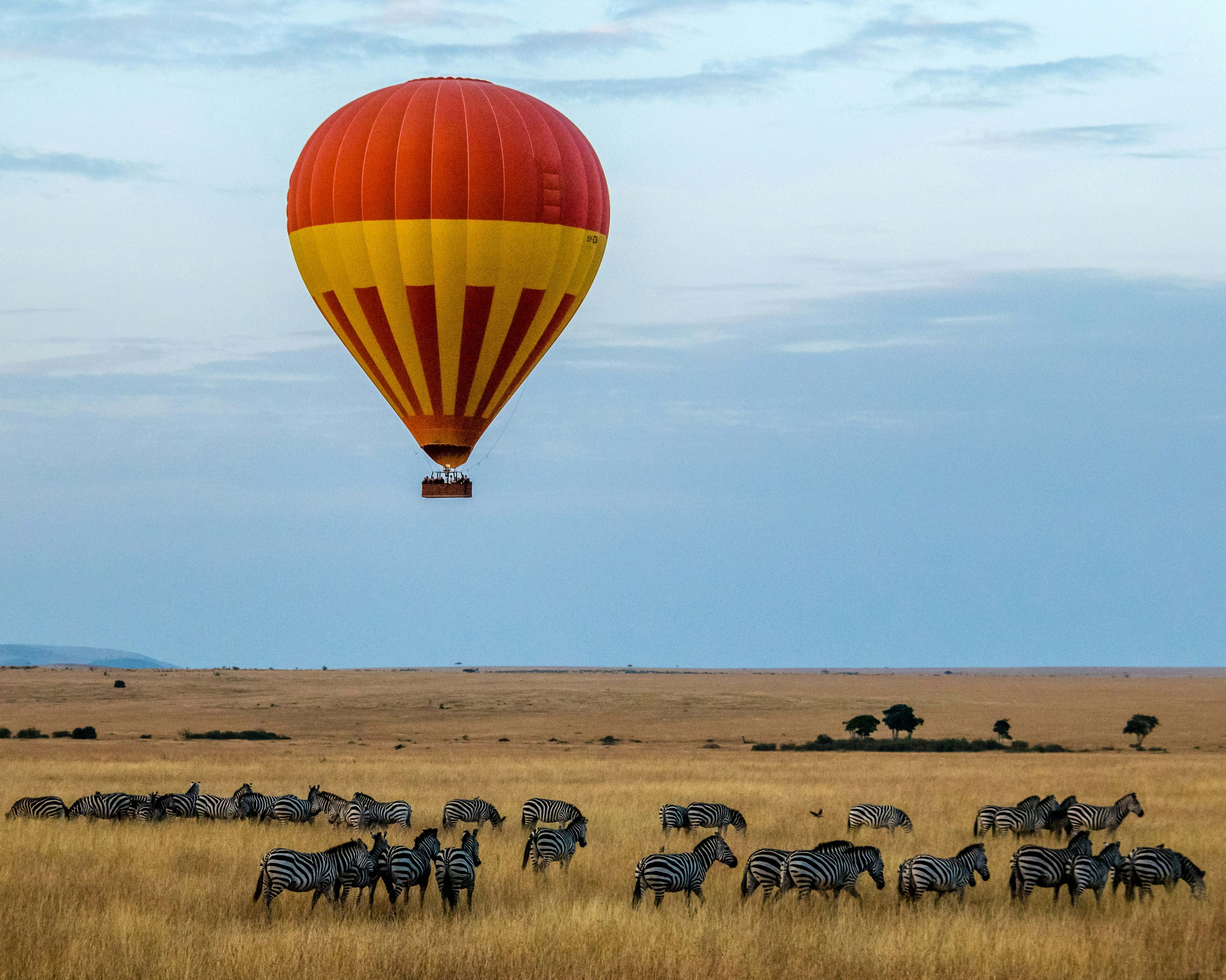 Safari Adventure