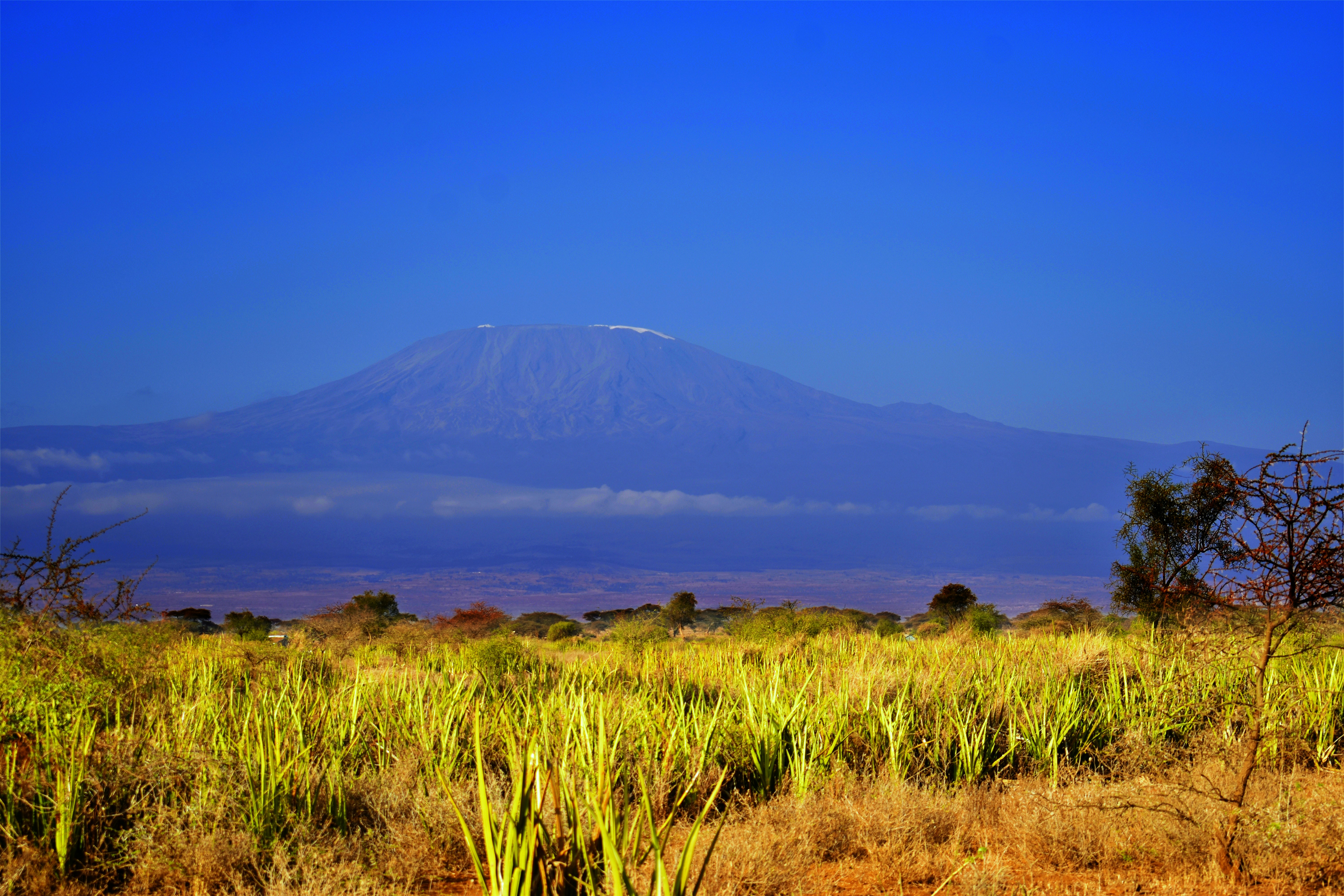 5-Day Kilimanjaro Climb
