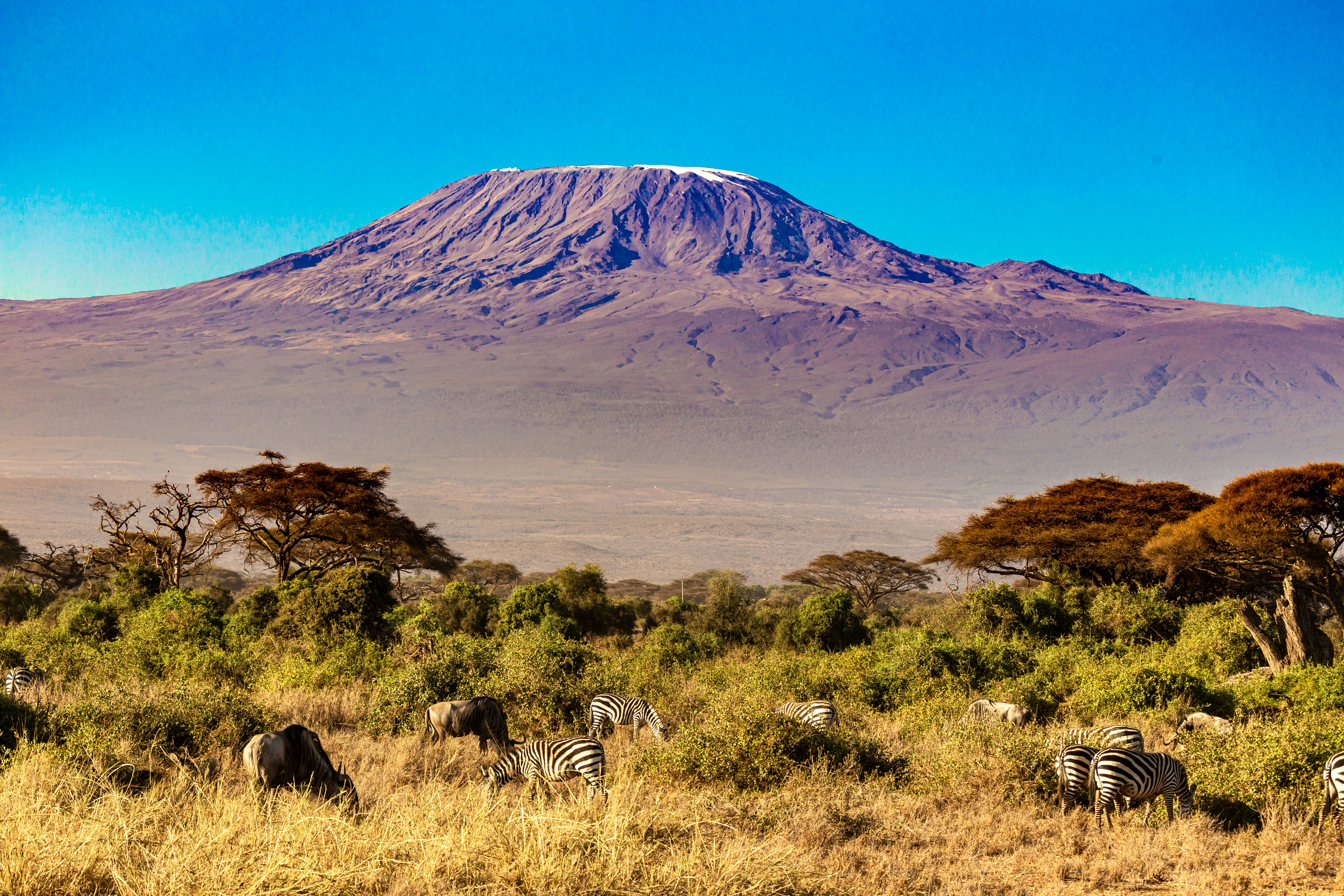 Mount Kilimanjaro Trekking