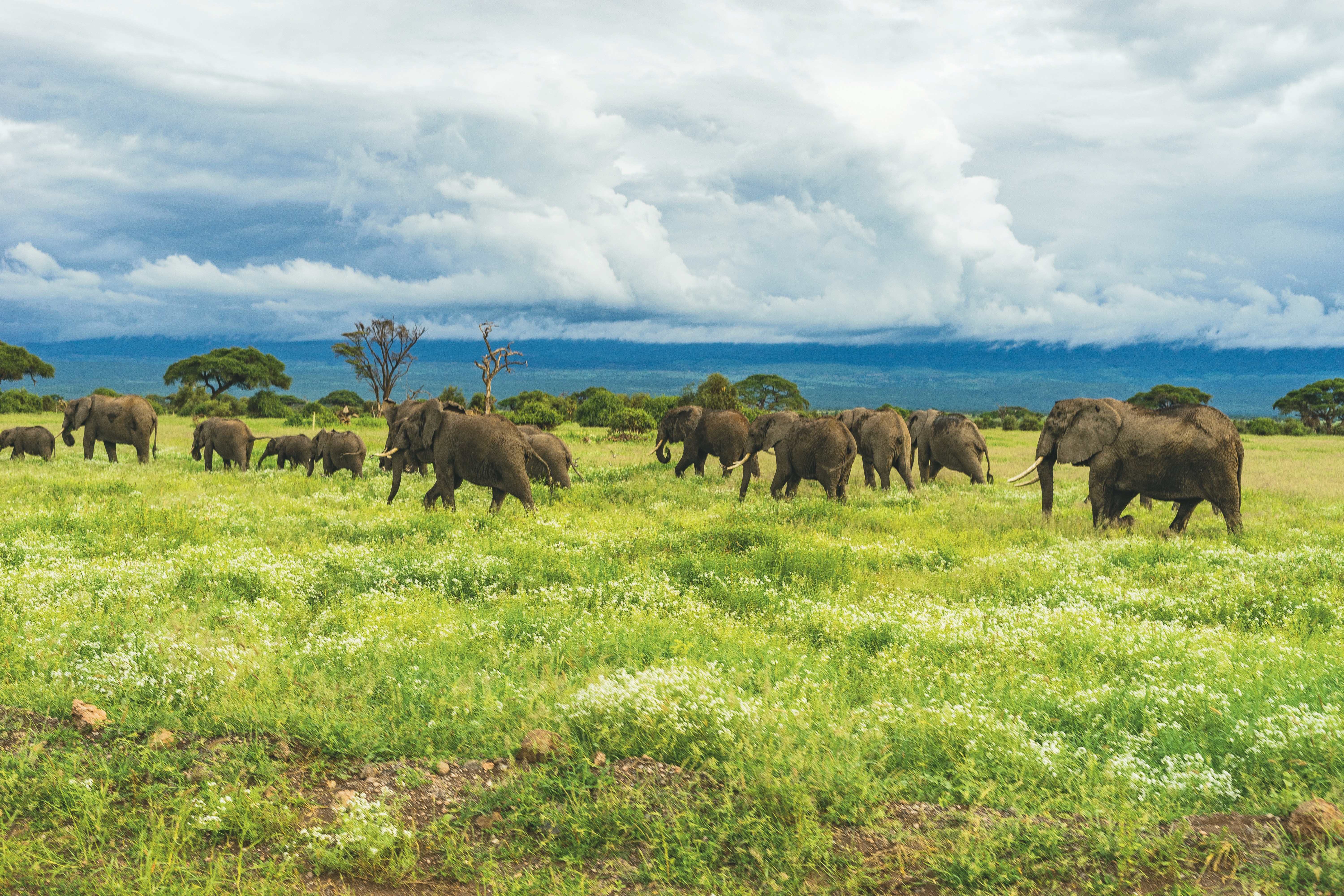 9-Day Kilimanjaro Climb