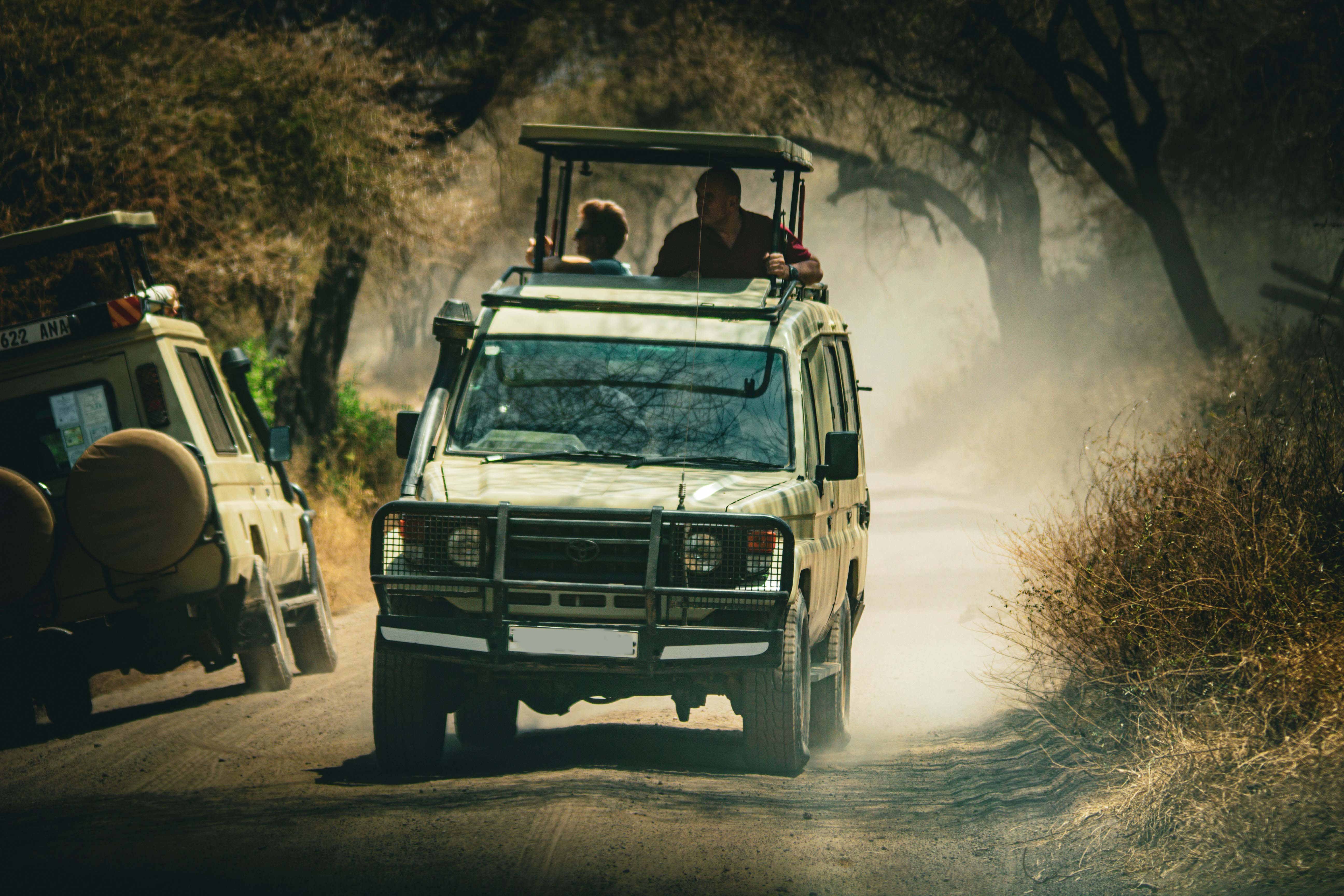 Morning and afternoon game drives