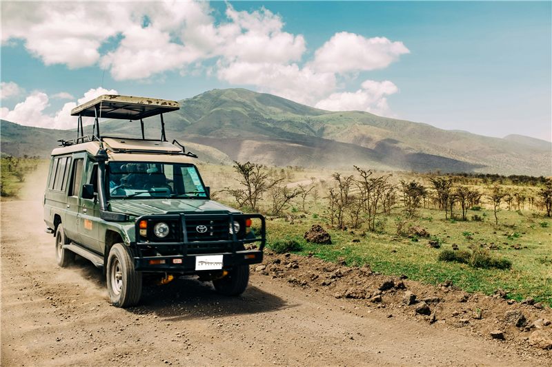 Safari vehicle parked beside a dirt road.