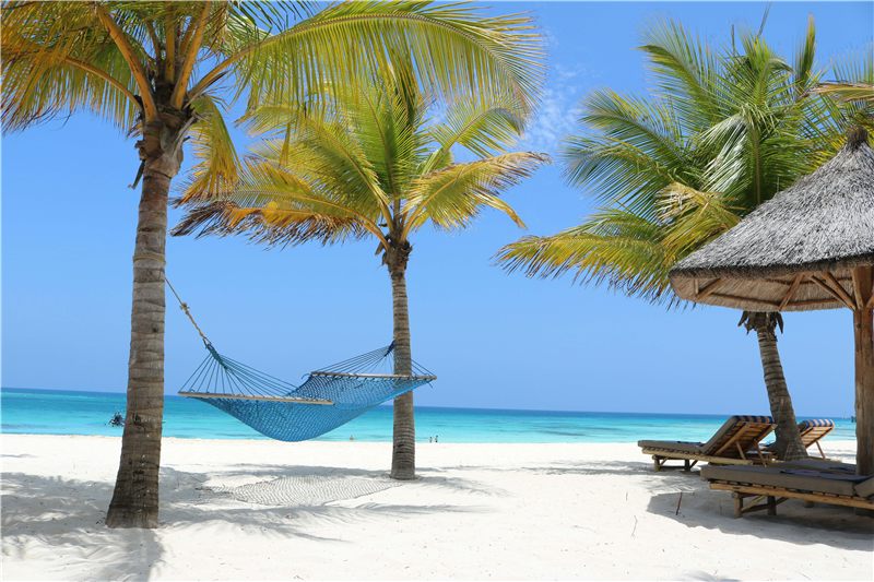 Palm trees, a hammock and white sand beside the ocean.