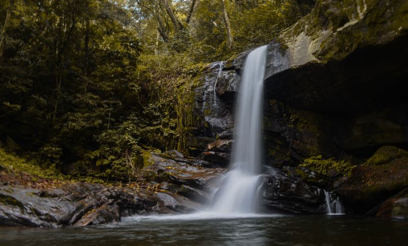 Sanje waterfall cascading over rock into Udzungwa forest.