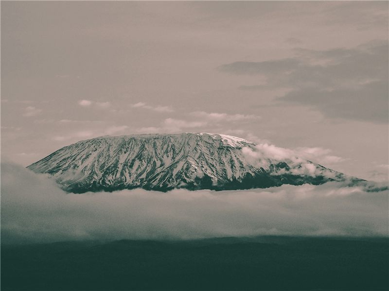 The snow-covered upper slopes of Kilimanjaro rising above cloud.