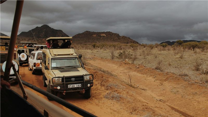 Safari vehicles travelling along a dirt road.