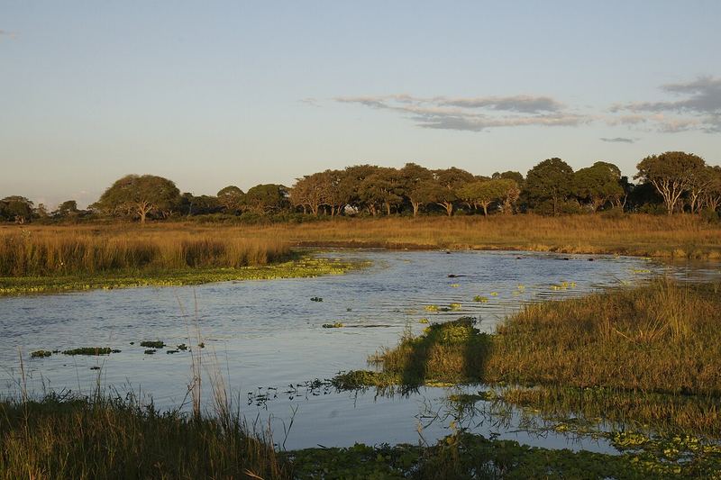 A wetland and woodland landscape in Katavi at sunset.